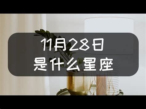 11月28號是什麼星座|11月28日生日書（射手座）